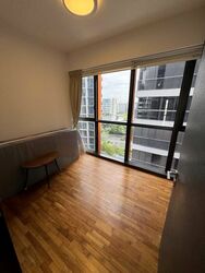 Sims Urban Oasis (D14), Condominium #556249821